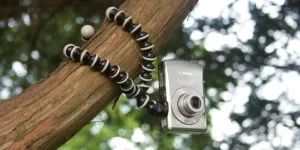 gp1_cover-tree Gorillapod on tree